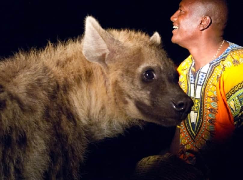 Hyena is become the best friend of this man who lived in Harar