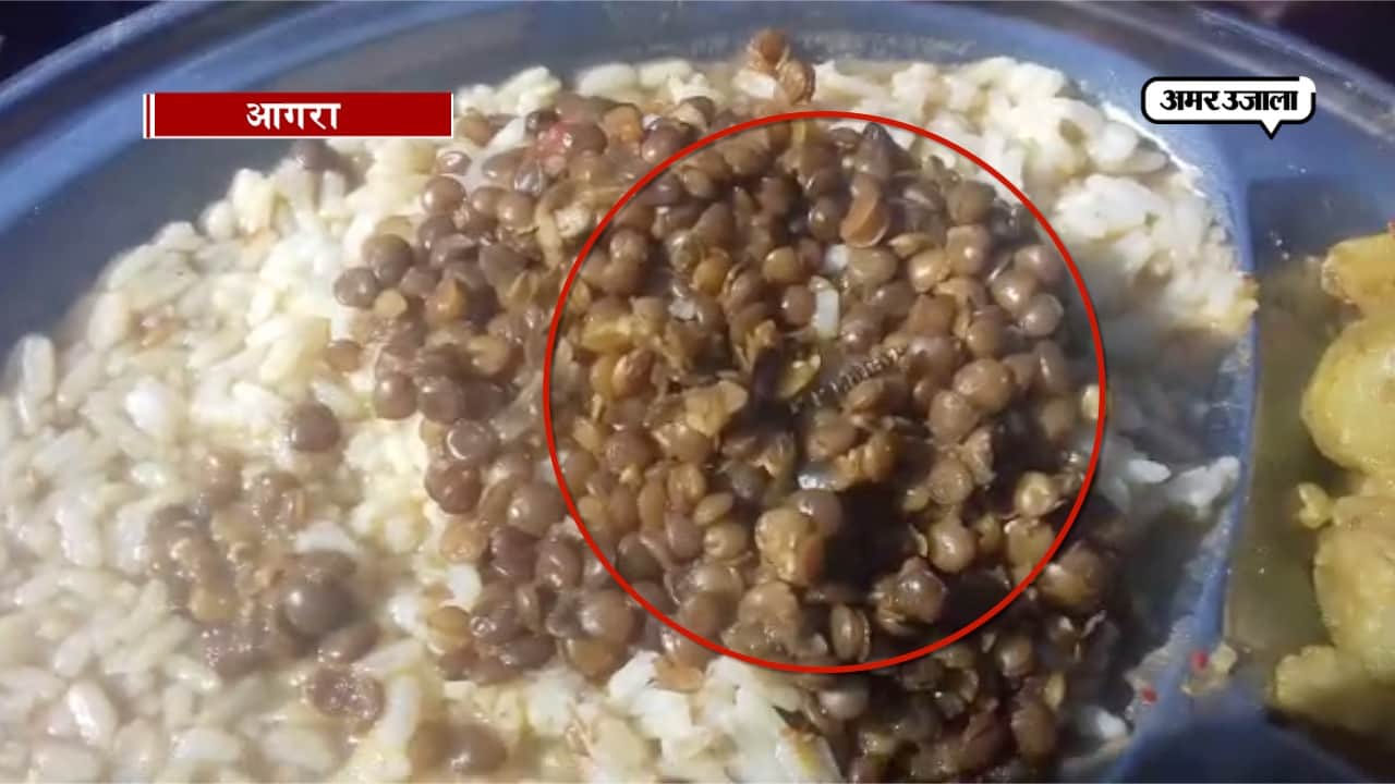 जिग्नेश