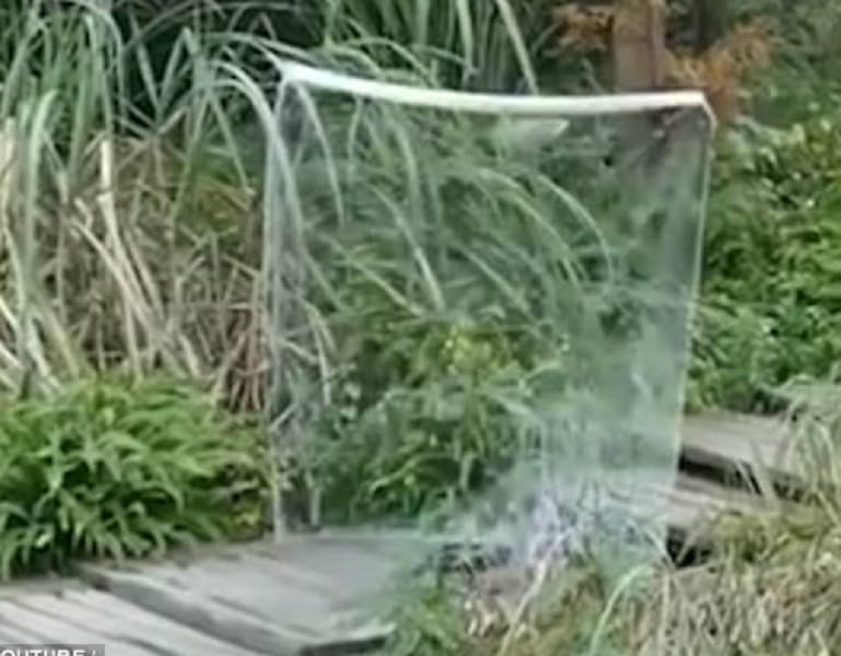 This Chinese man made unique table cloth which turns him invisible
