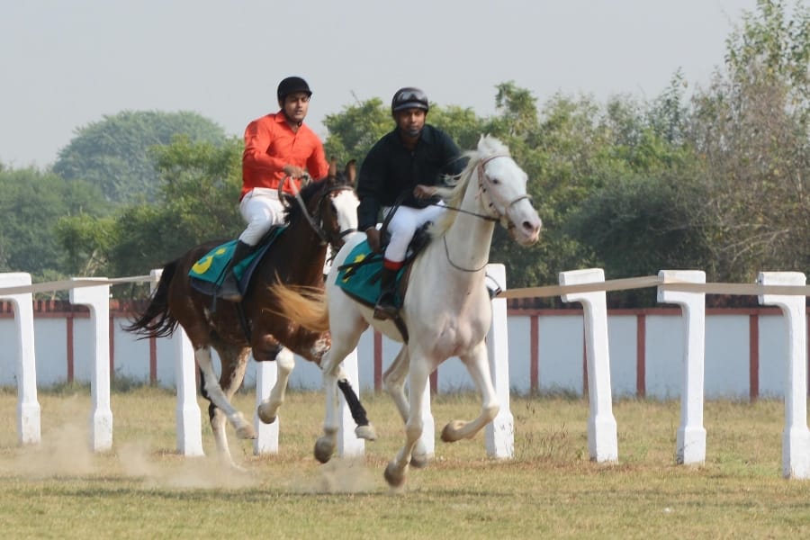 dark tiger wins third race in Lucknow.
