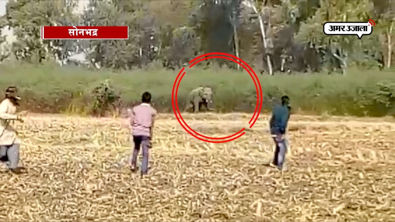 सोनभद्र समाचार