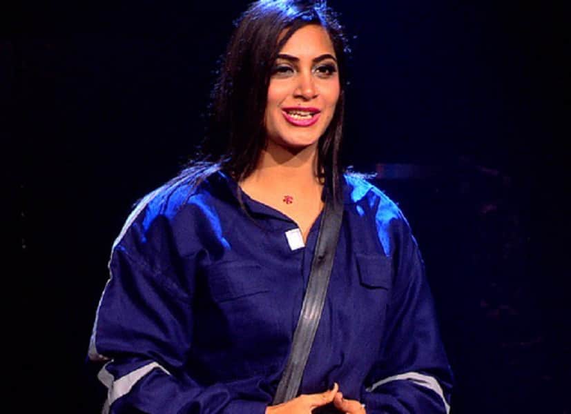 bigg boss 11: controversial statements of arshi khan