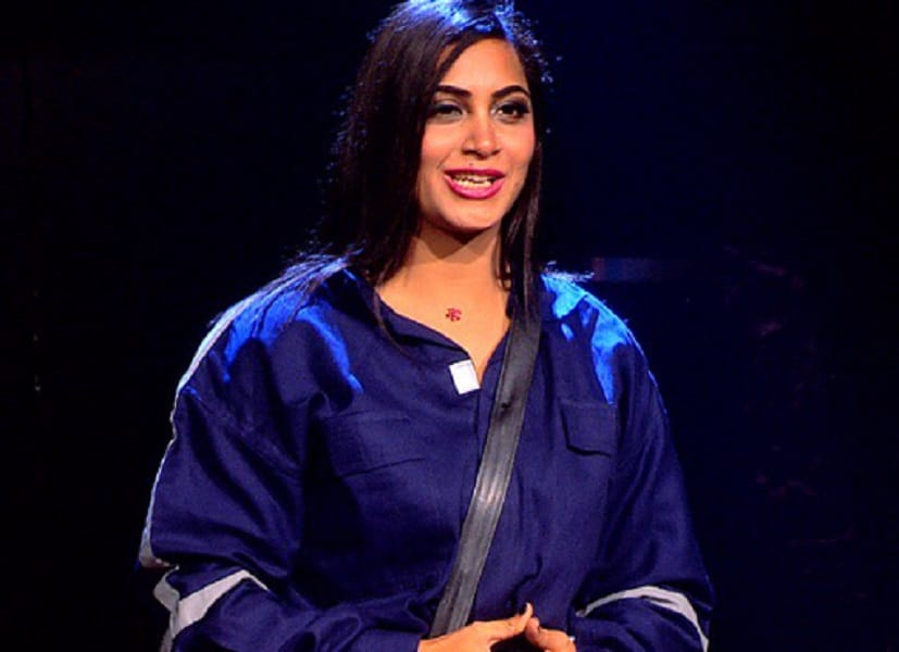 bigg boss 11: controversial statements of arshi khan