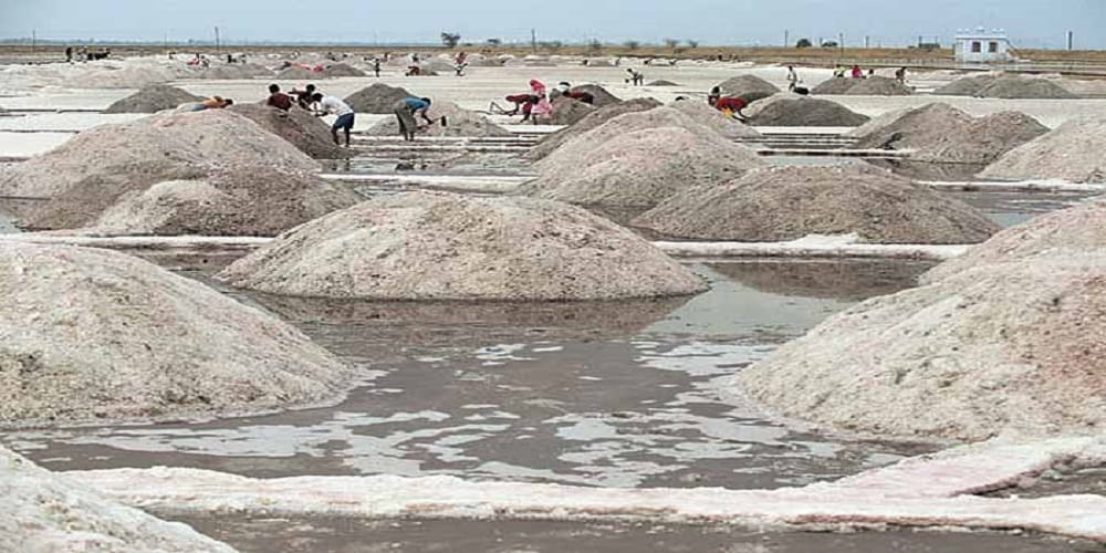 salt making refinery crisis in Rajasthan, know why