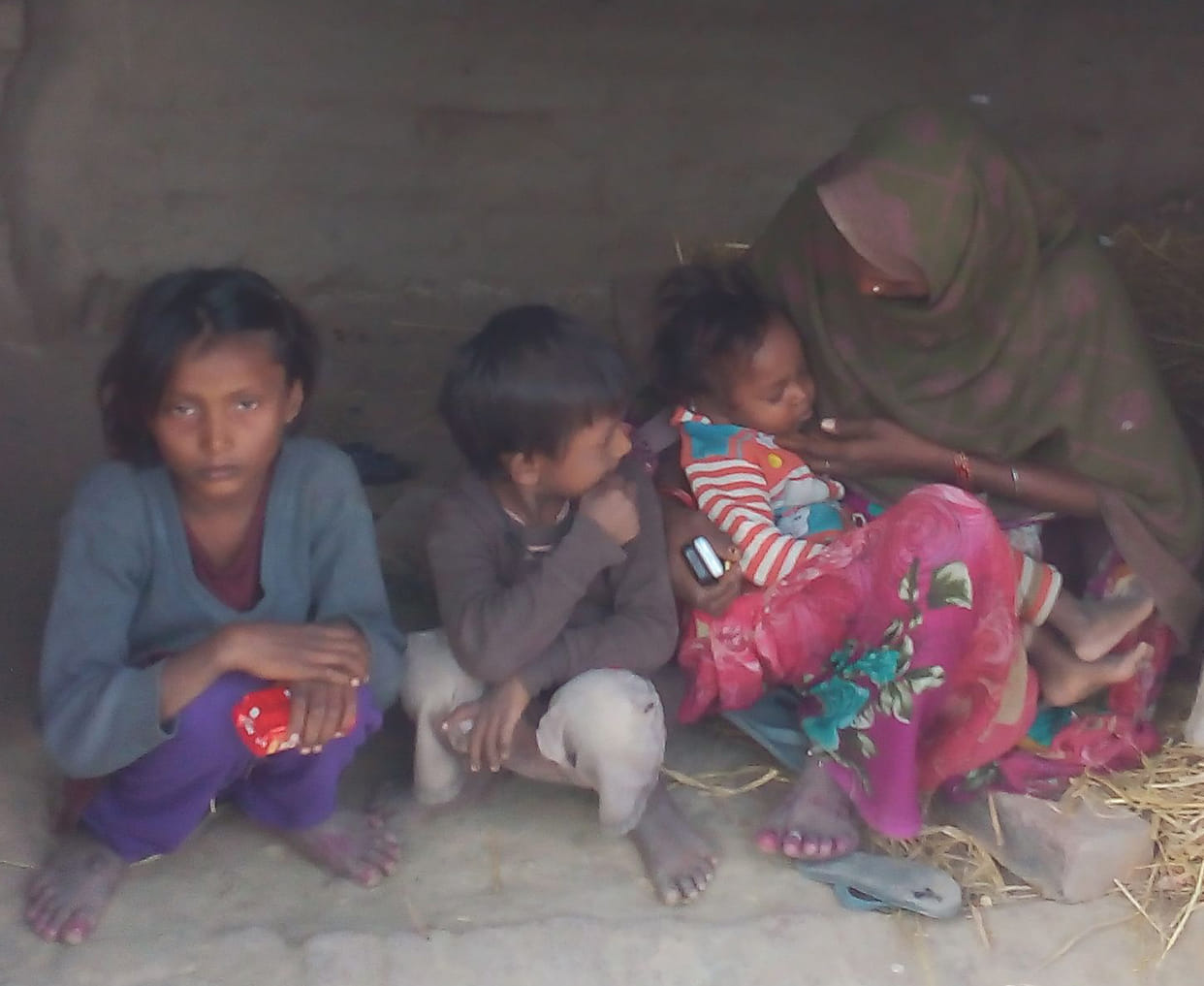 सांड ने सींग घोंपकर युवक को मार डाला
