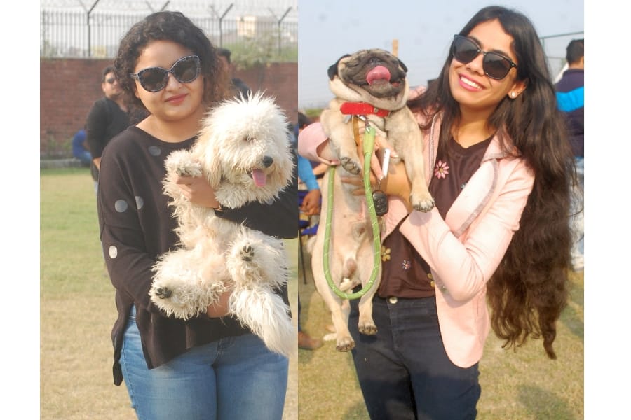 pets show by amar ujala in lucknow.