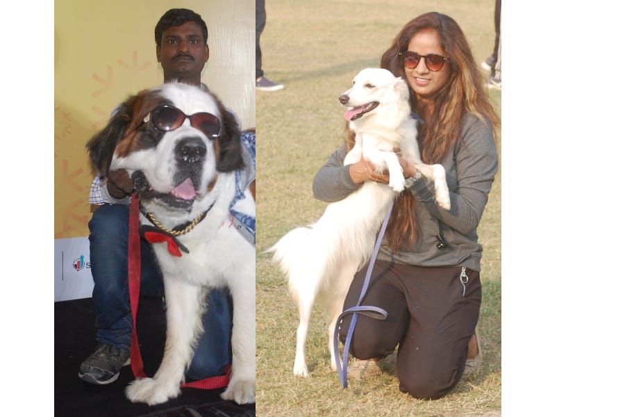 pets show by amar ujala in lucknow.