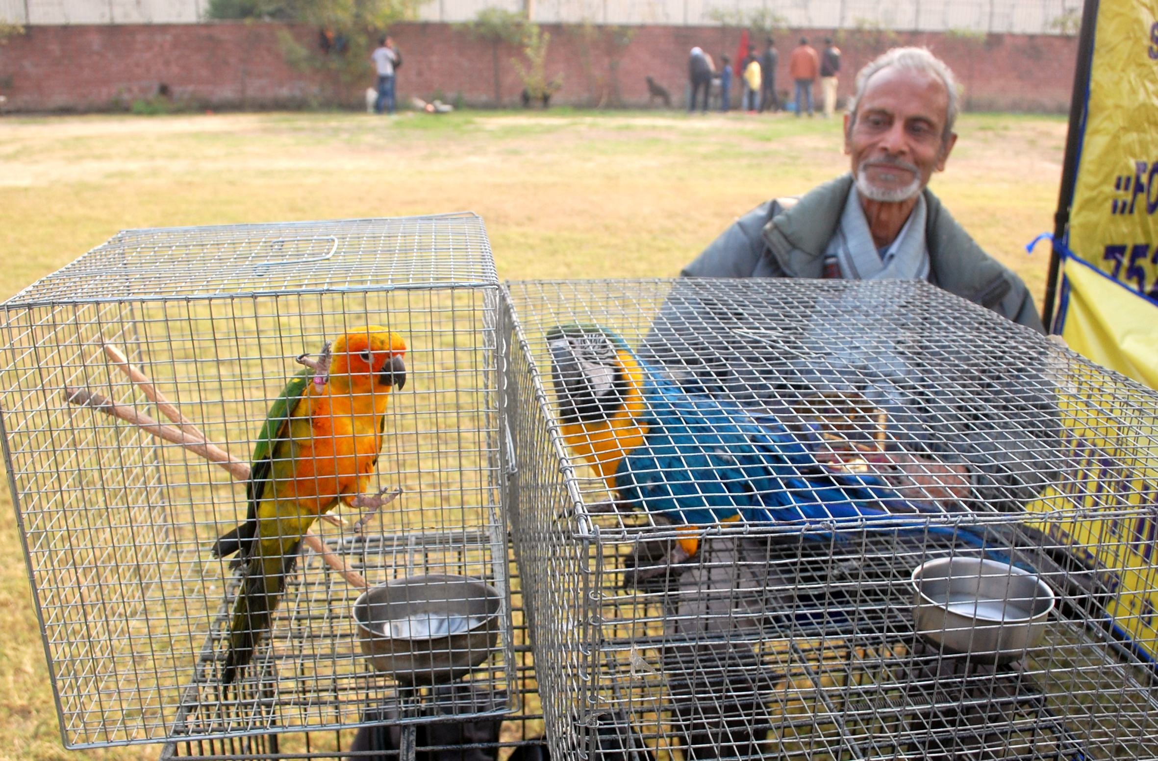 pets show by amar ujala in lucknow.