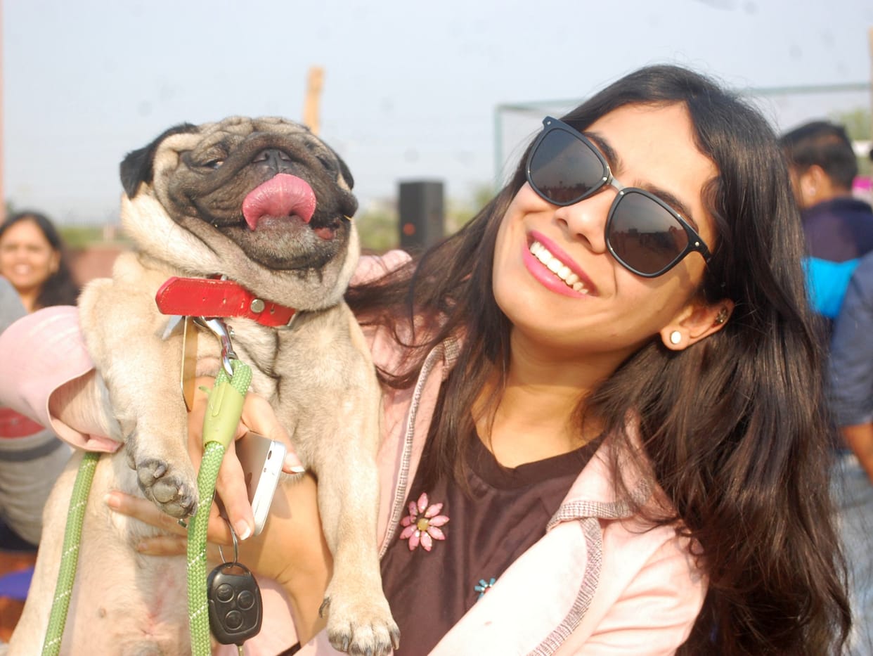 Indian railways: IRCTC To Soon Facilitate Online Ticket Booking For Cats and Dogs