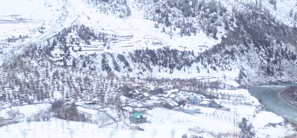 fresh snowfall in high hills of himachal pradesh