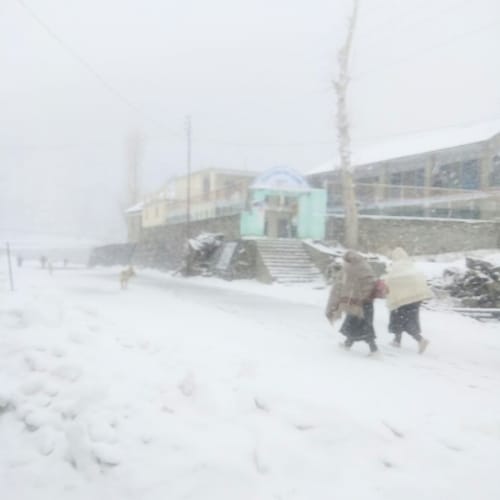fresh snowfall in high hills of himachal pradesh
