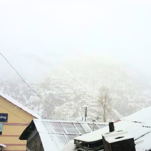 fresh snowfall in high hills of himachal pradesh