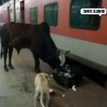 कानपुर  स्टेशन