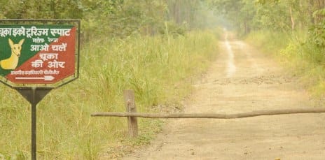 मुख्यमंत्री  ने प्रोजेक्ट टाइगर को मांगा 200 करोड़ का प्रस्ताव