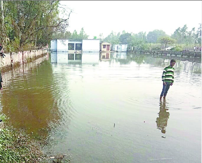 The school filled with water, the snake wrapped on the teacher and  girl's feet