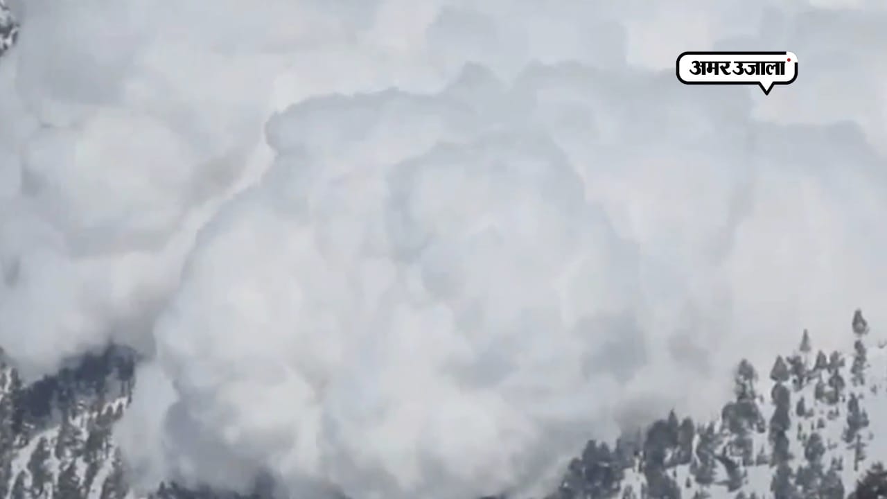 BANDIPORA