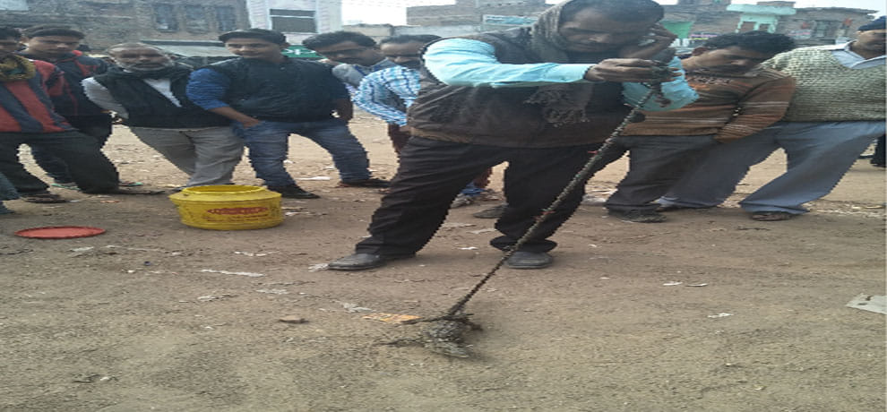 villagers see crocodile in the village