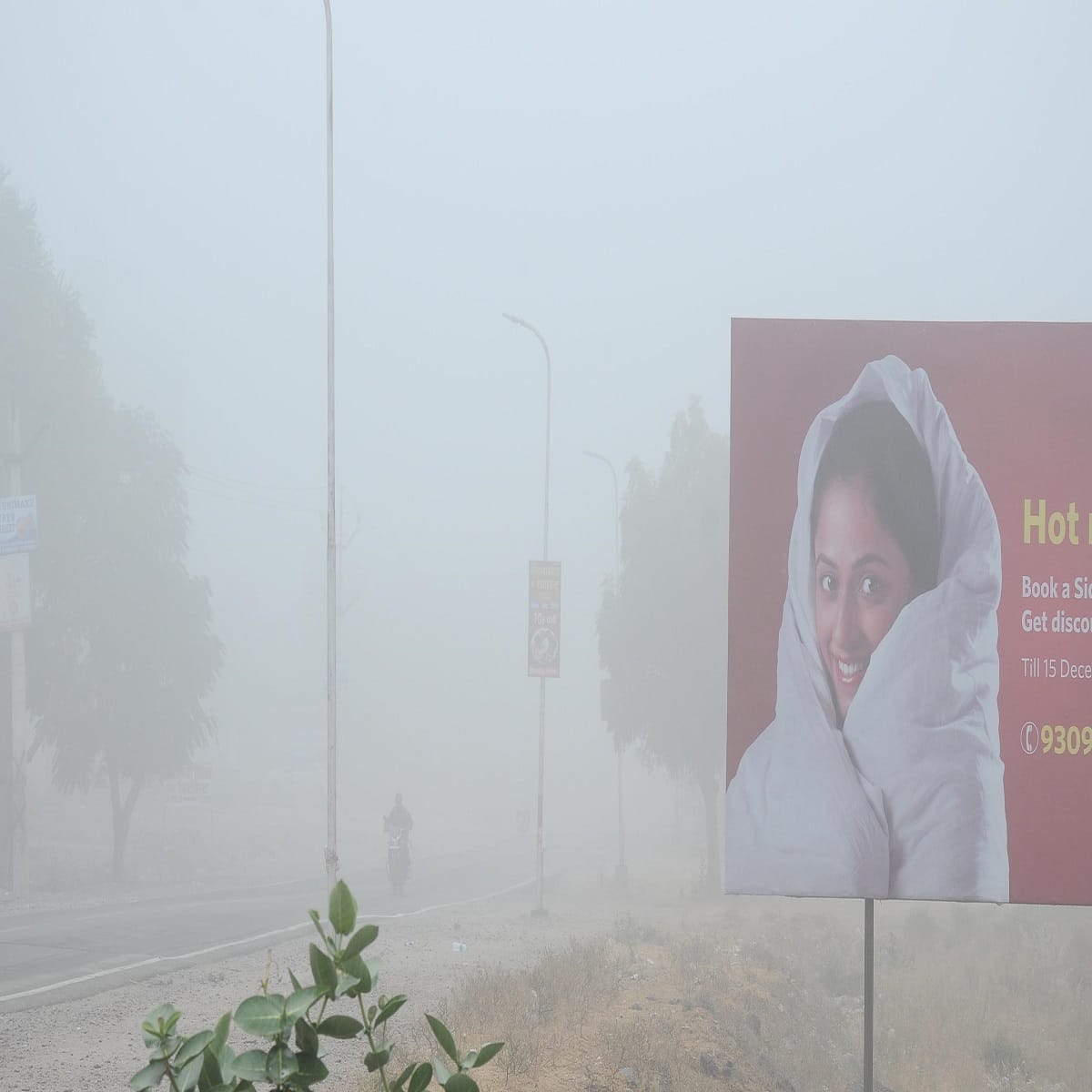 fog in pinkcity-jaipurites witnessed season-s first fog-transportation effected 