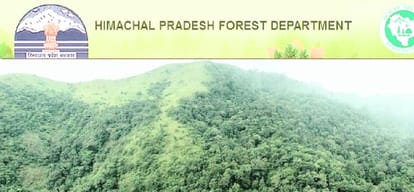 forest department imposed five lakes penalty on nhai