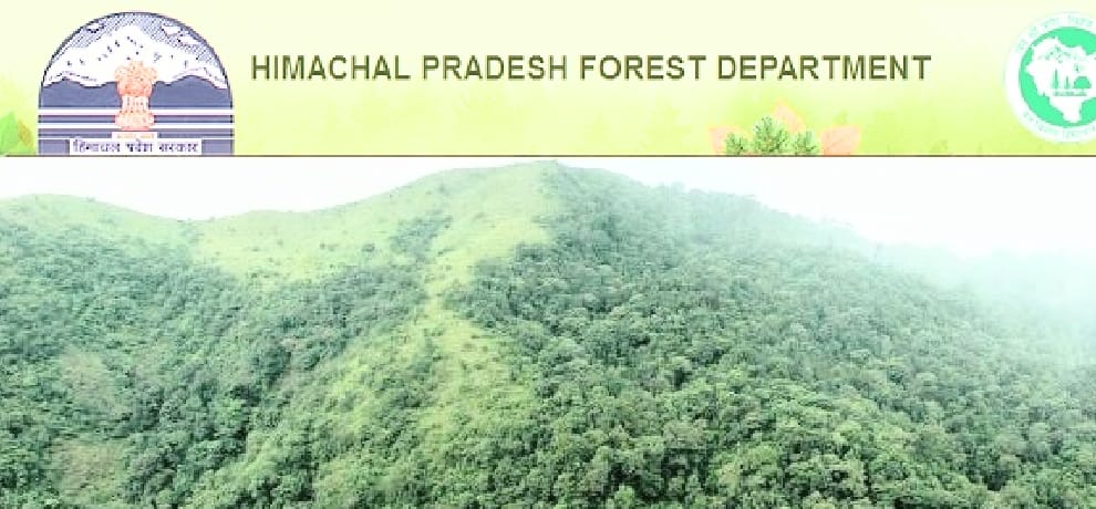 govt job news: hppsc invited applications for recruitment of range forest officer in himachal