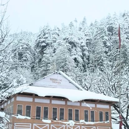  himachal assembly election 2017, 338 candidate fighting election
