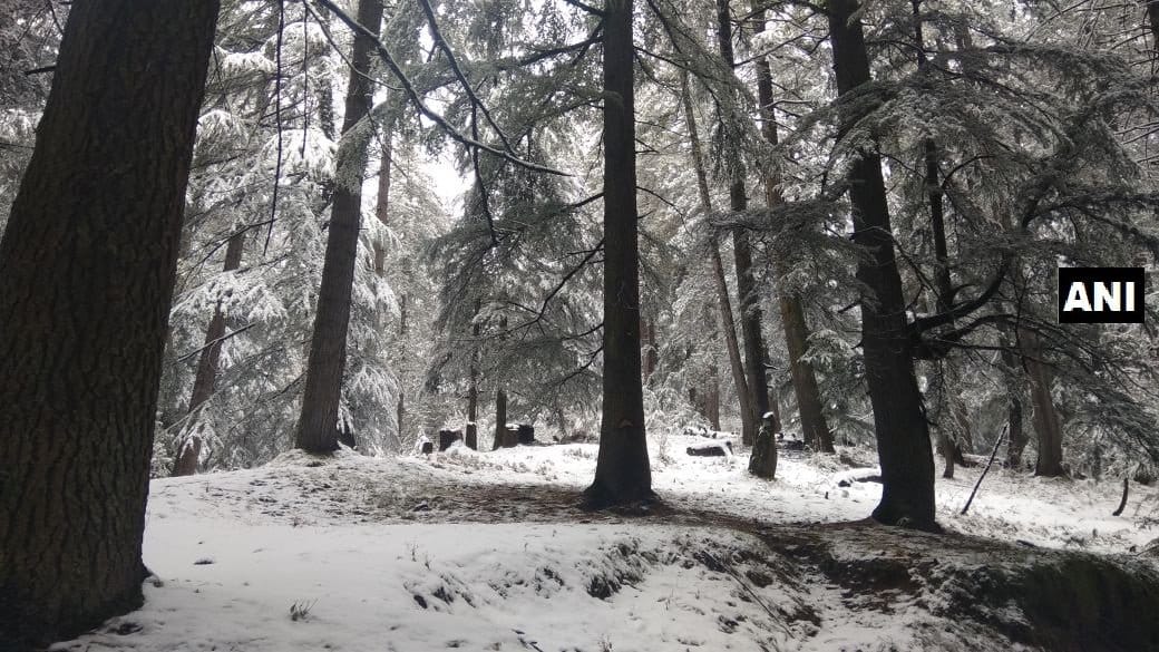 Shimla administration's letter to Punjab, Chandigarh and Haryana