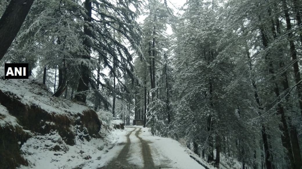Plans to go shimla for new year celebration, wait a second
