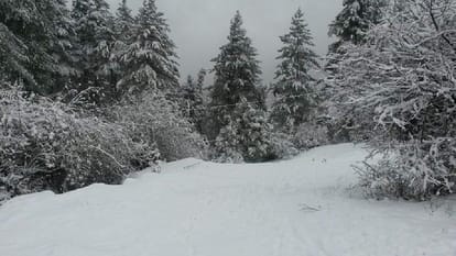 rain and snowfall warning in uttarakhand four districts