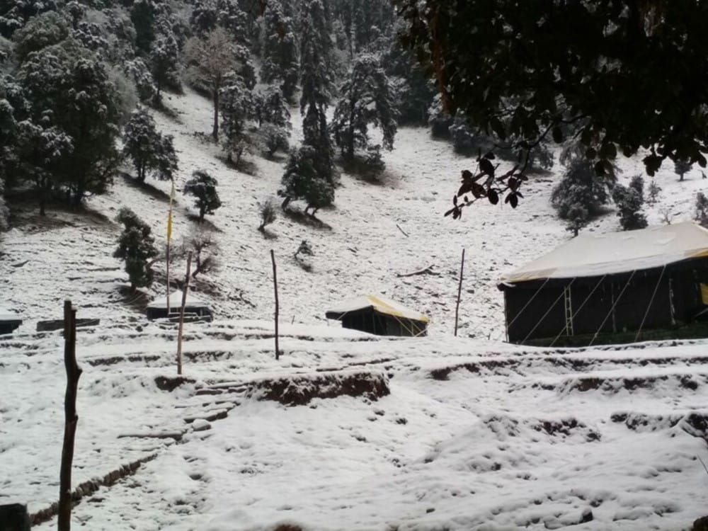 cold can be increase here