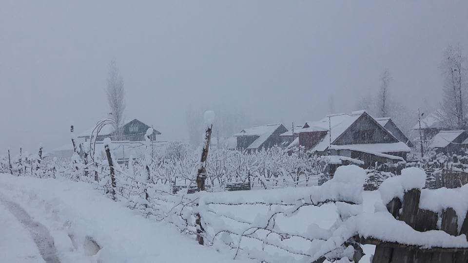 PHOTO GALLERY OF SNOWFALL IN KASHMIR VALLEY