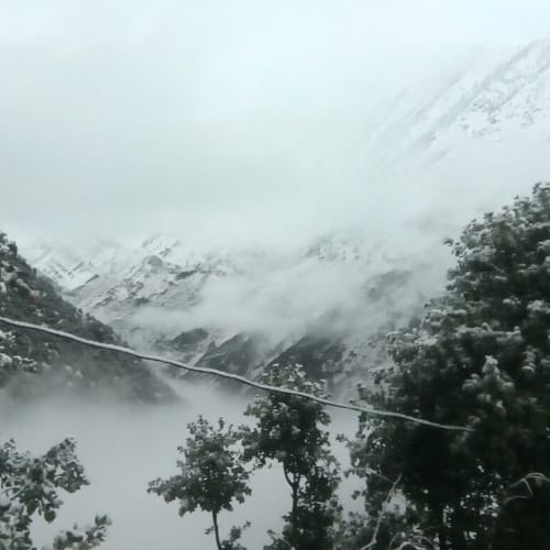 pics of fresh snowfall recorded in himachal pradesh