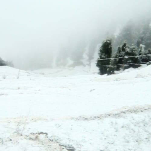 pics of fresh snowfall recorded in himachal pradesh