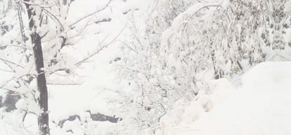 heavy snowfall recorded in himachal pradesh