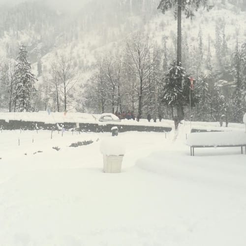 pics of fresh snowfall recorded in himachal pradesh