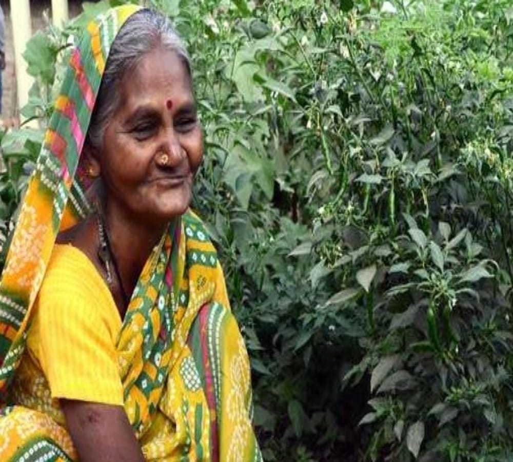 inspired story of blind women farmer tarabai