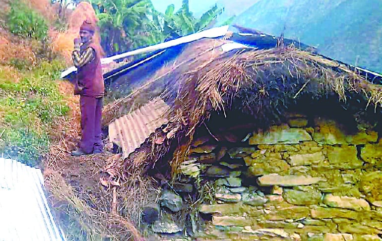 In the cold nights, the disaster affected elderly is forced to live under the roof of the grass