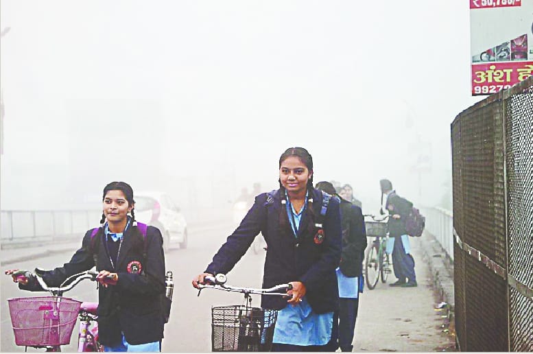 Swine flu can be caused by cough and cold