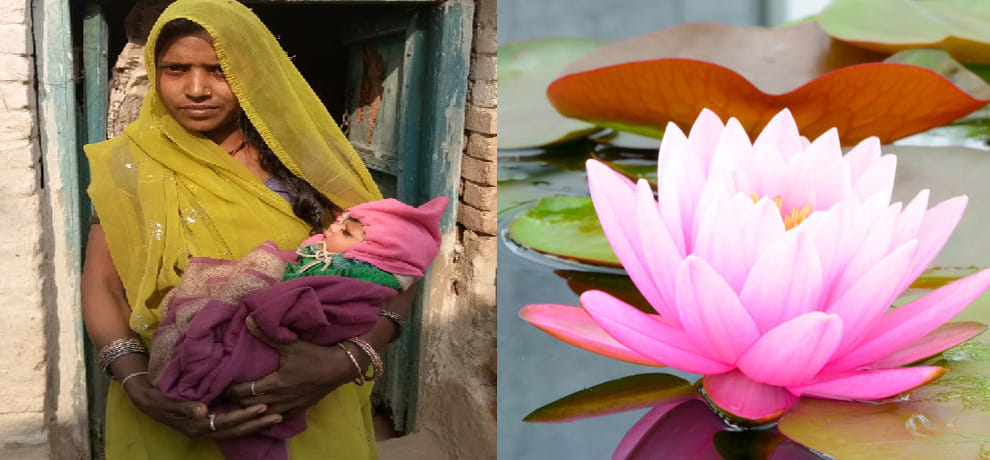 Lotus feeding in mud and shri ram Hugged him