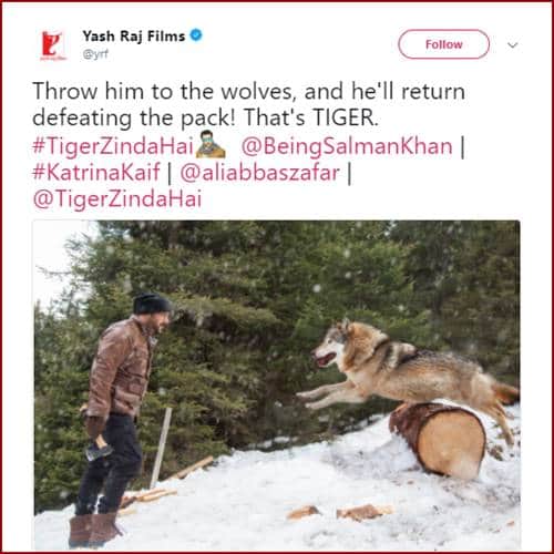 Get ready for power pack action of Tiger Zinda Hai, Where Salman Khan Takes On Blood-thirsty wolves