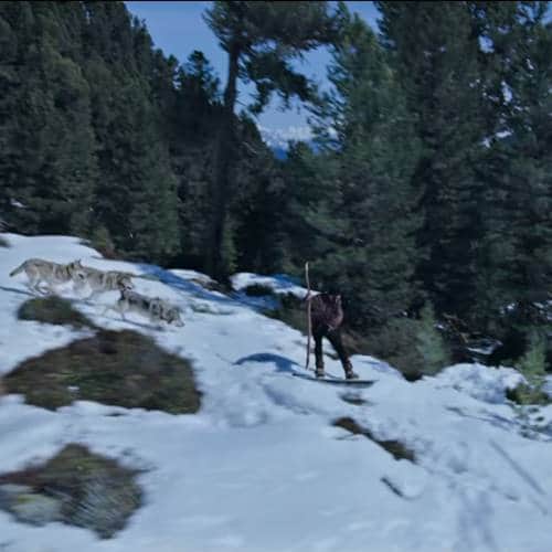 Get ready for power pack action of Tiger Zinda Hai, Where Salman Khan Takes On Blood-thirsty wolves