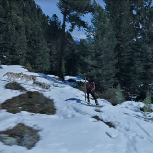 Get ready for power pack action of Tiger Zinda Hai, Where Salman Khan Takes On Blood-thirsty wolves