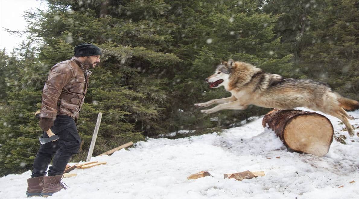 salman khan Making of Tiger zinda hai and Wolves scene 