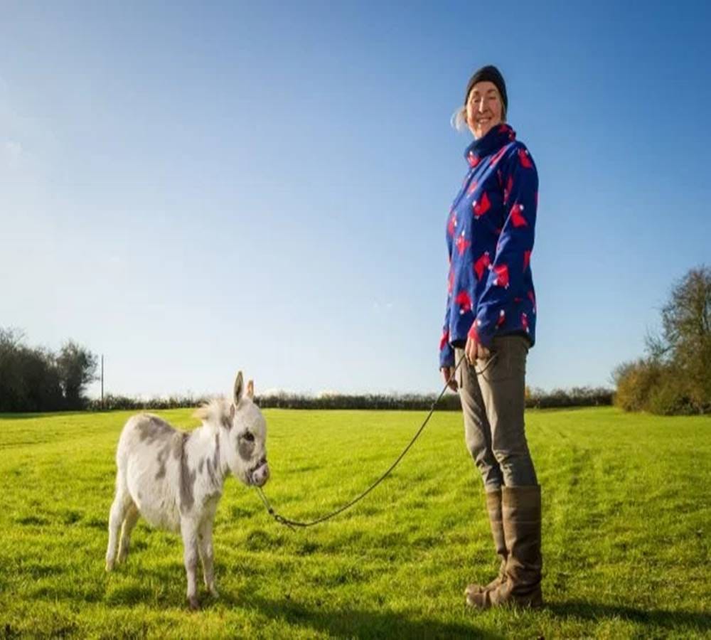 Worlds smallest donkey yet the world knowing his name 