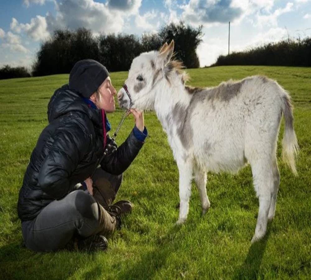 Worlds smallest donkey yet the world knowing his name 