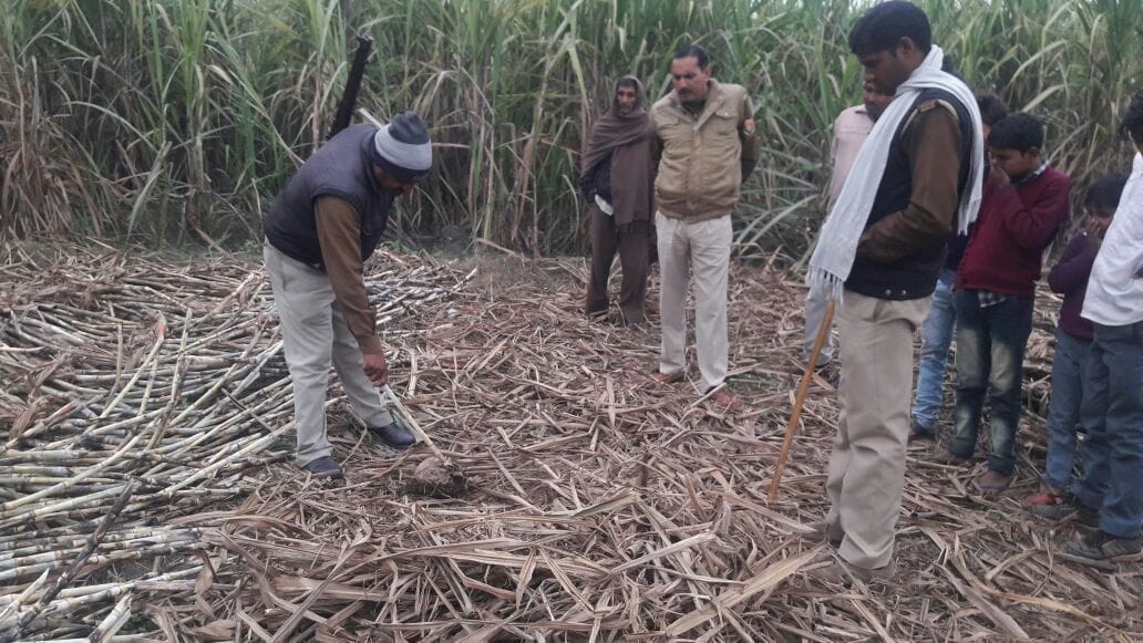 Fear of killing zombies found in the farm of saidpur jaskoli village