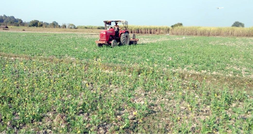 The relief given to the big occupants, the small holders gave the crop