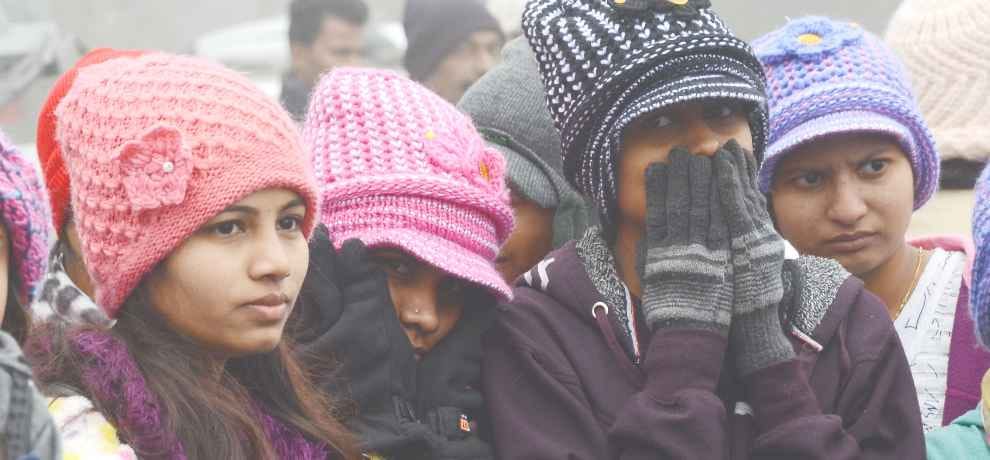 himachal shimla weather report