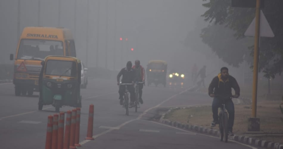 weather forecast, dense fog in chandigarh