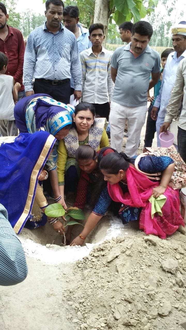ias week in up 