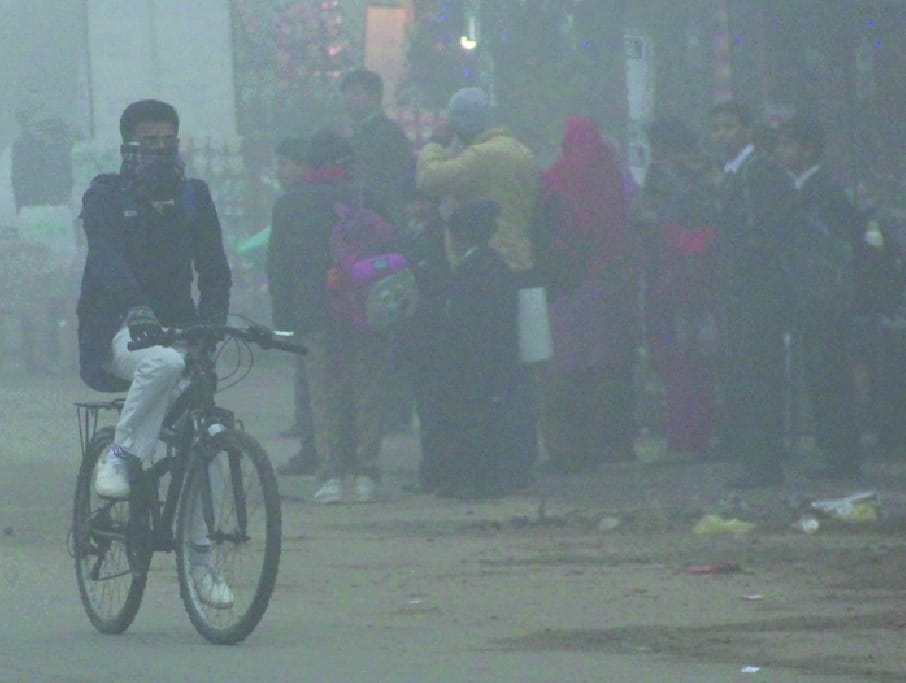 Cold wave and fog to Shiver